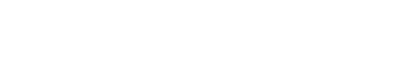 비전